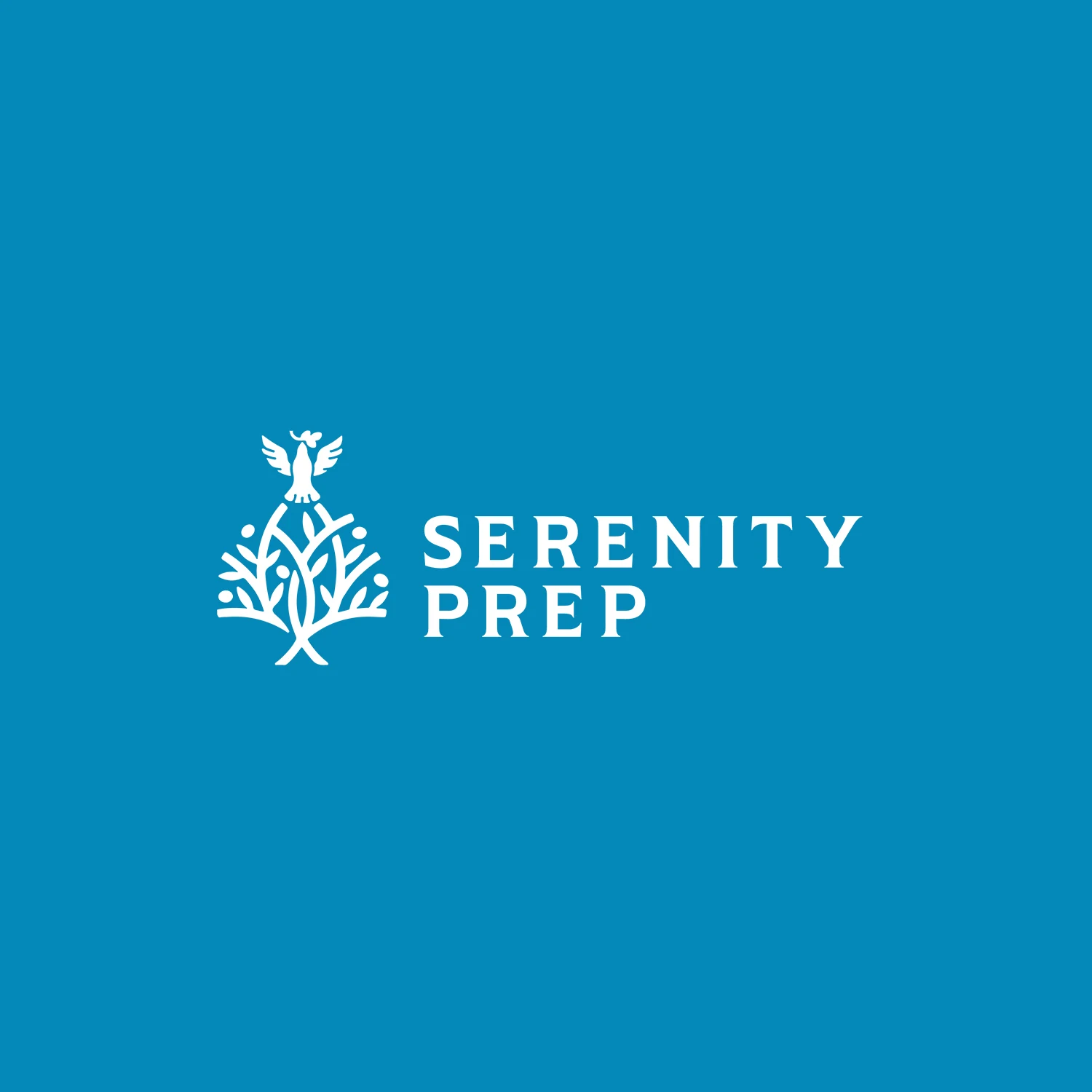 Serenity Prep — Social template — four