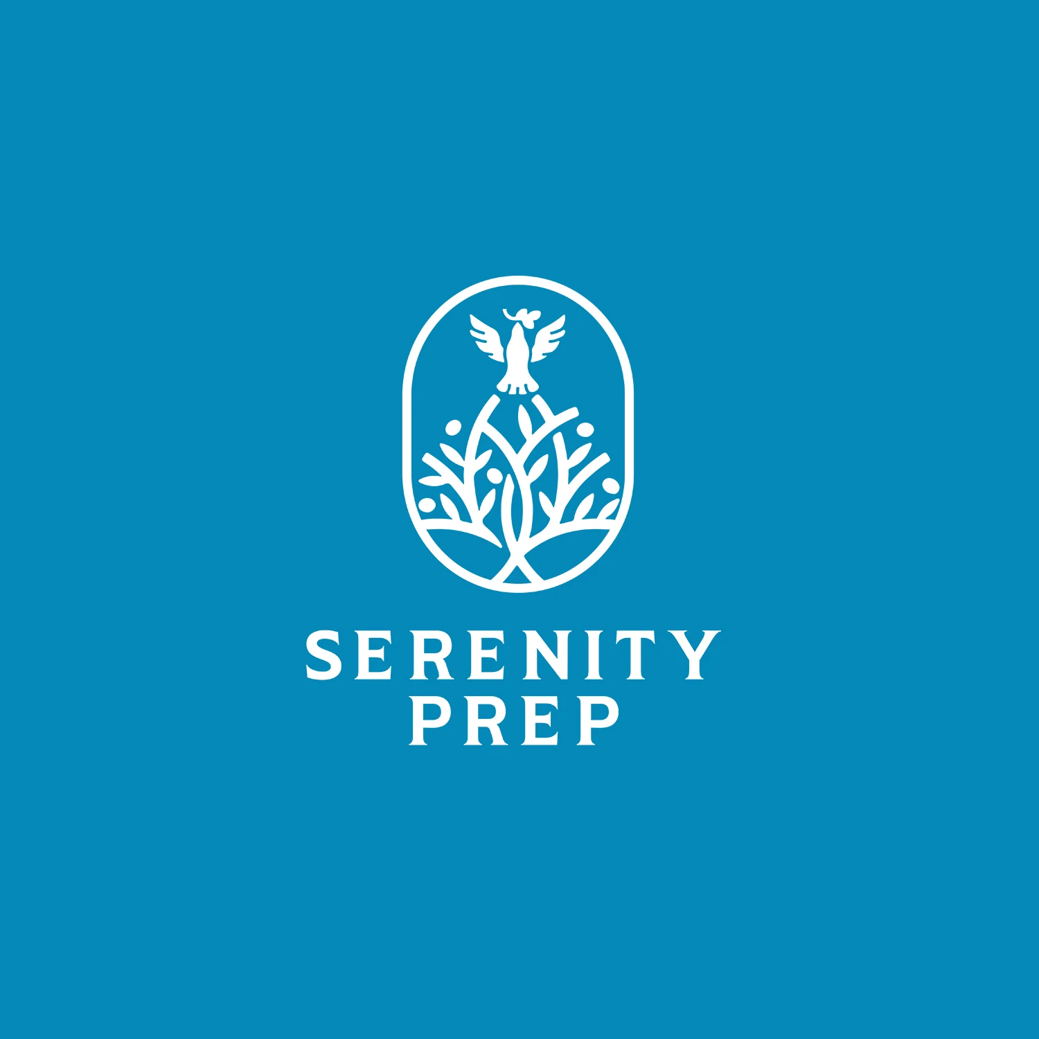 Serenity Prep — Social template — two