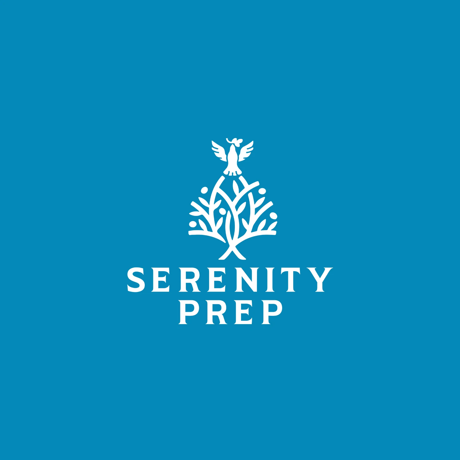 Serenity Prep — Social template — three
