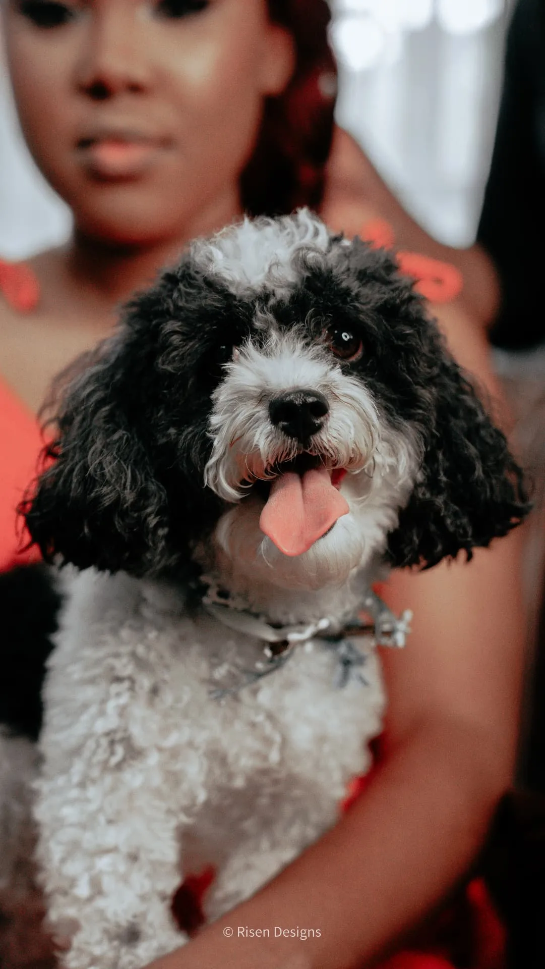 Cydni & Kolin — Ring bearer in training