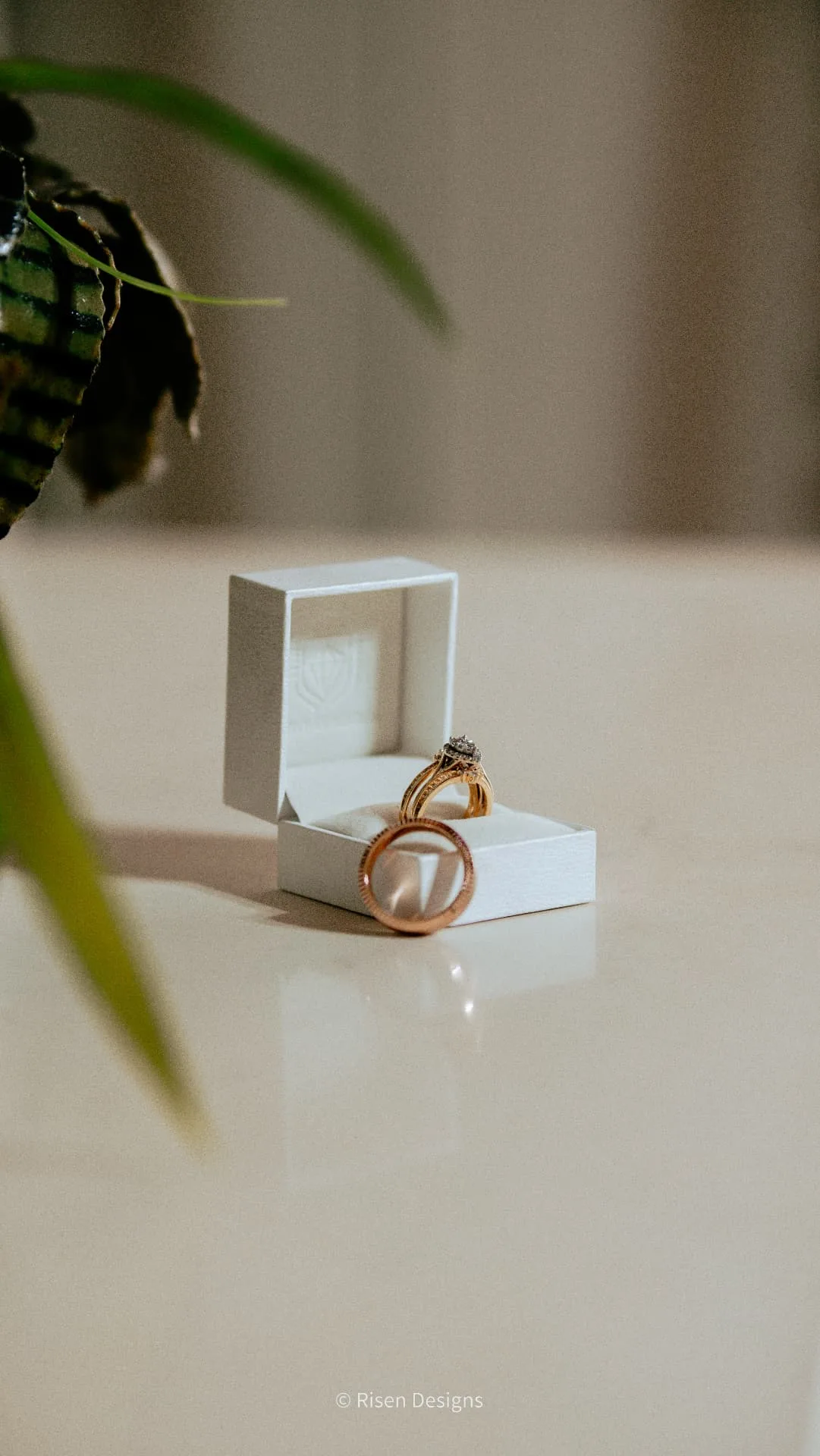 Cydni & Kolin — The rings